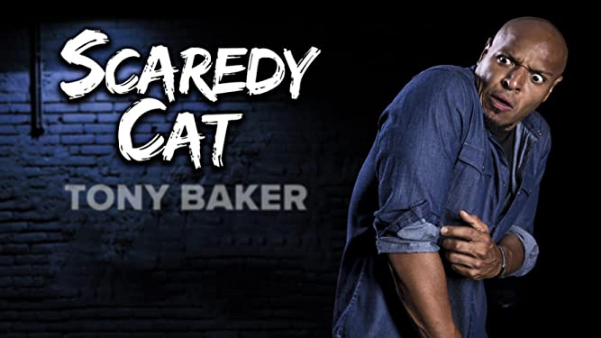 Backdrop for Tony Baker's Scaredy Cat