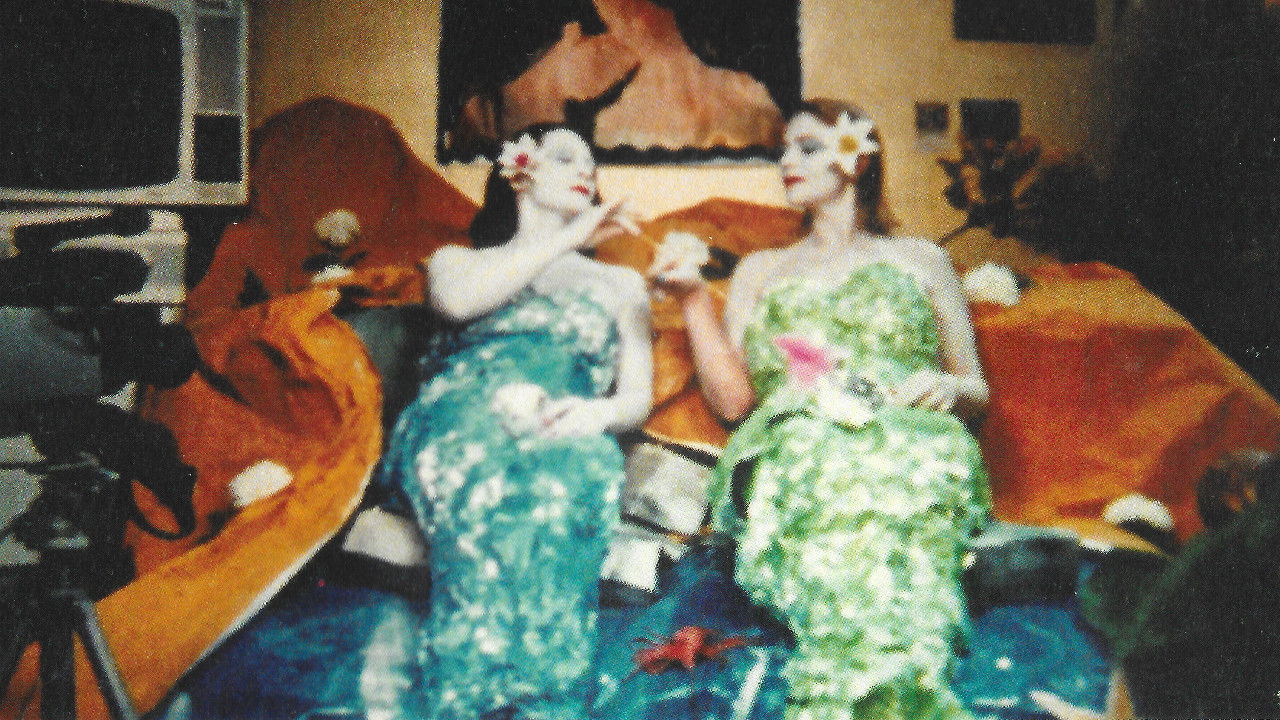 Backdrop for Canale grande