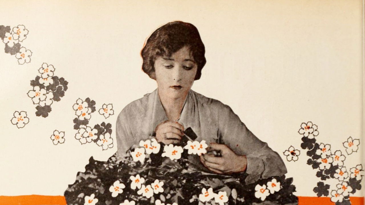 Backdrop for Borrowed Clothes