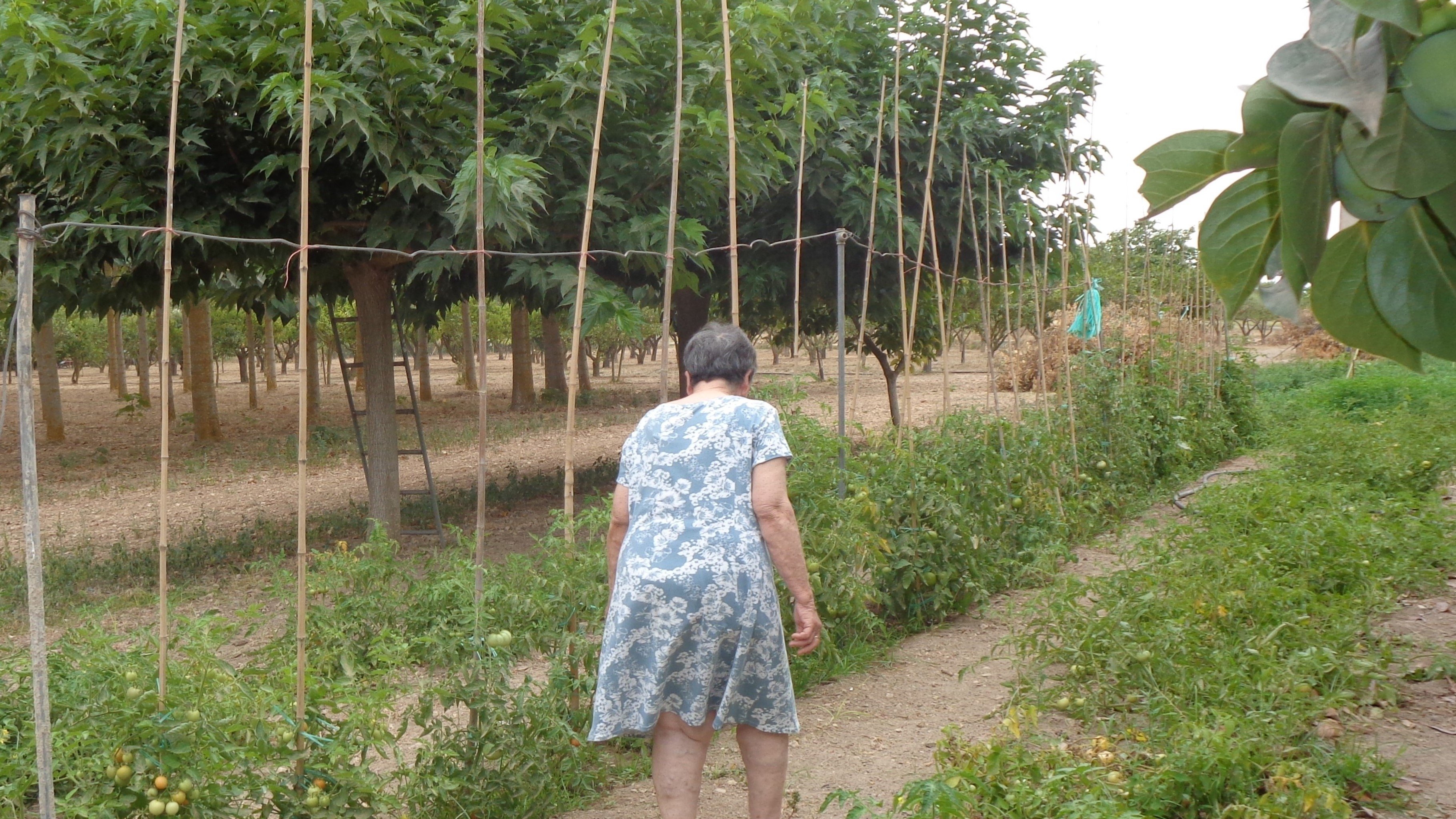 Backdrop for A Son Miró