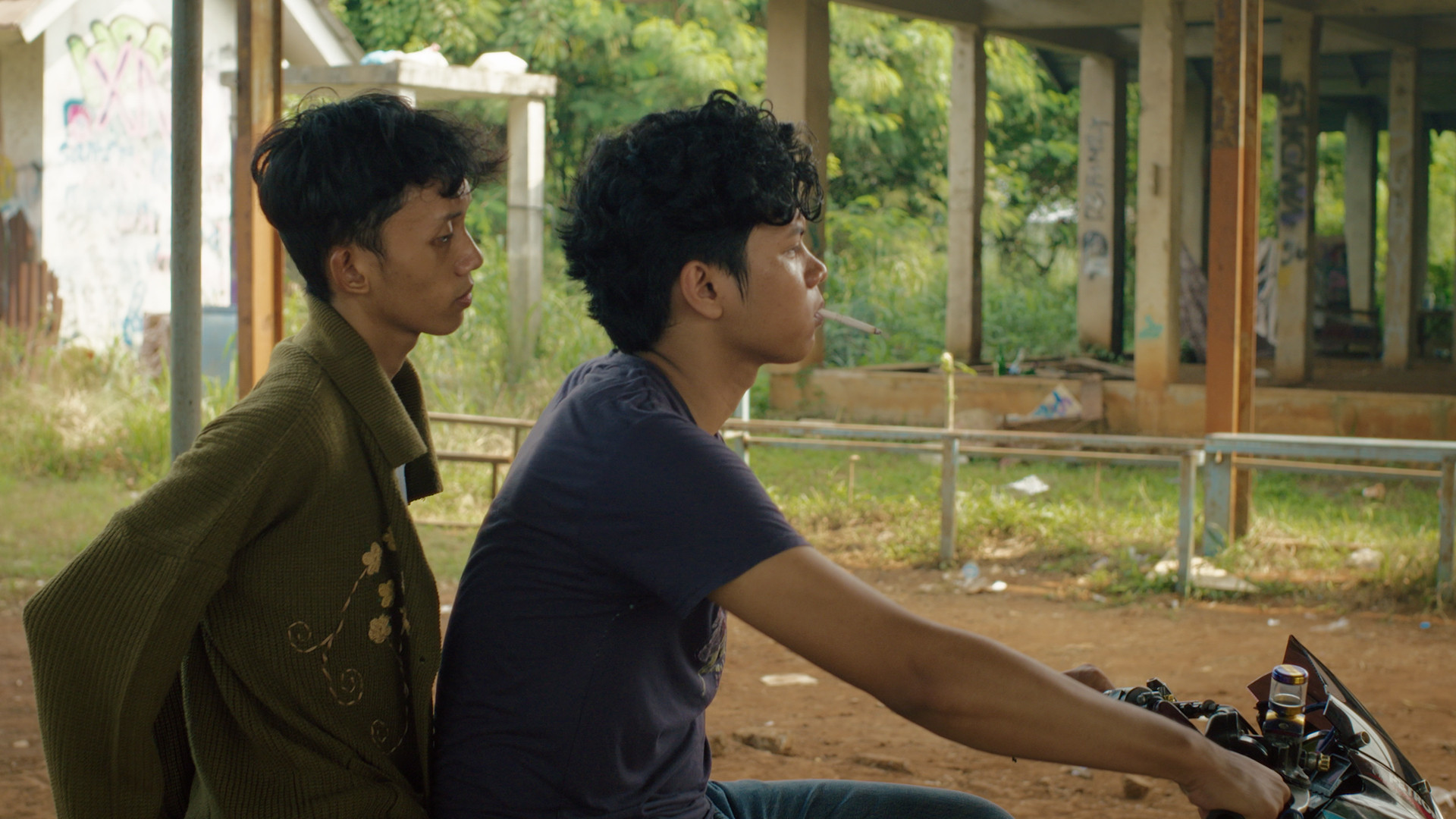 Backdrop for My Paws Are Soft, My Bones Are Heavy