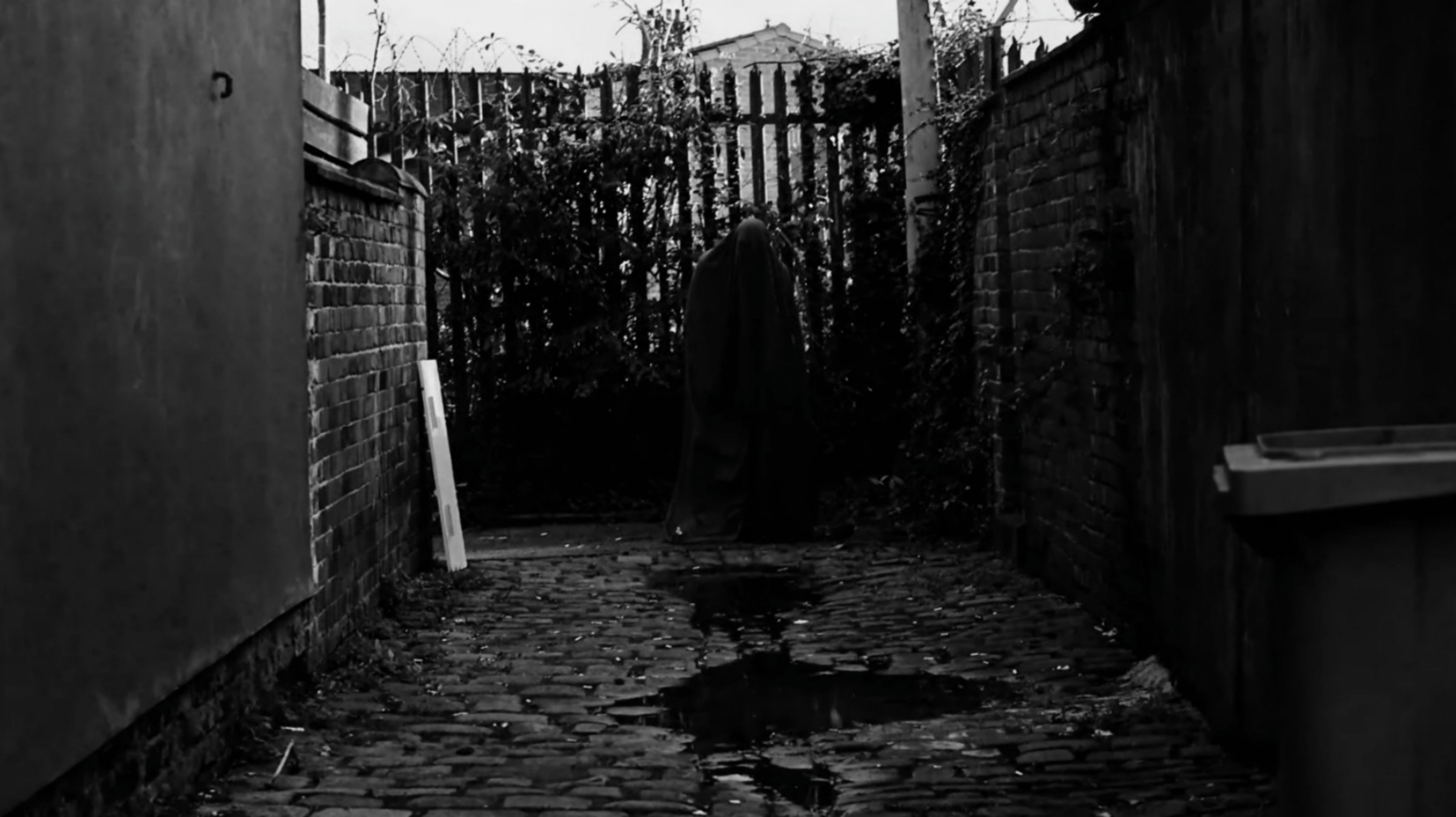 Backdrop for The Wail of the Banshee