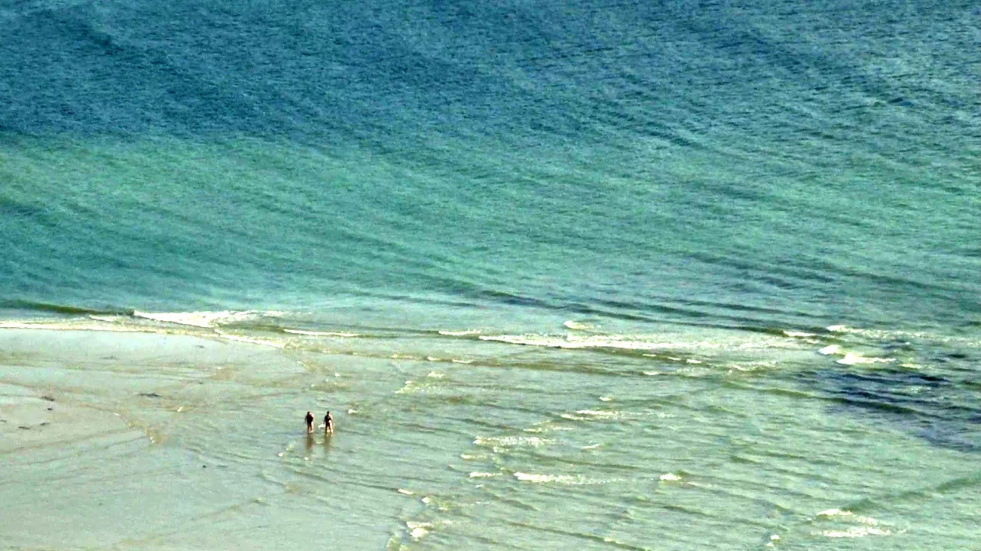 Backdrop for Coast of Death