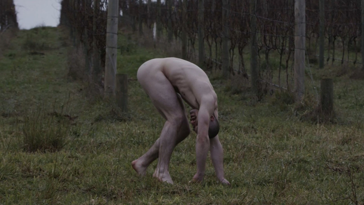 Backdrop for Each Other