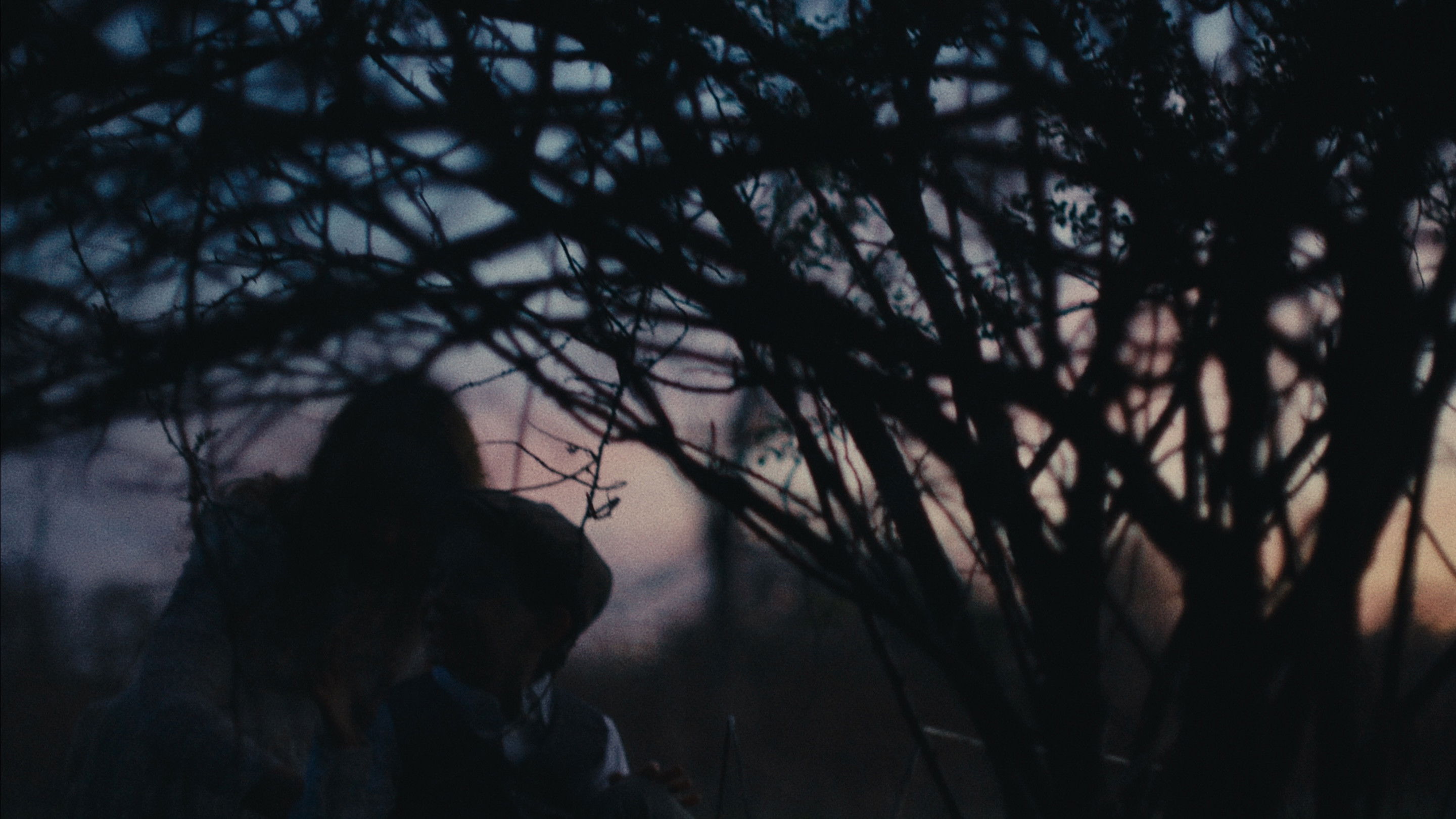 Backdrop for The Sapphire Door