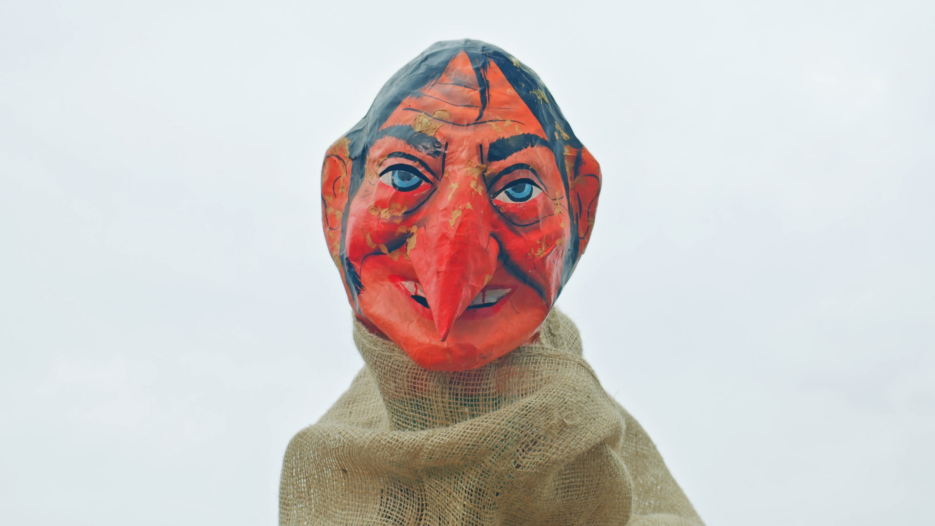 Backdrop for Rewilding