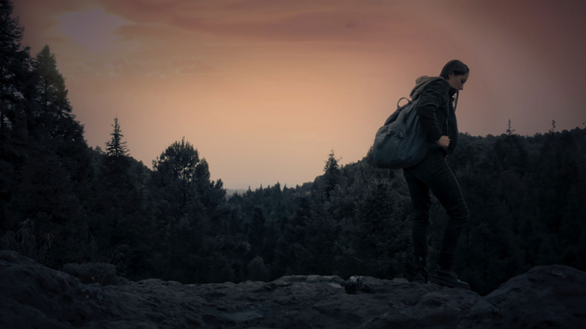 Backdrop for Peña de Lobos