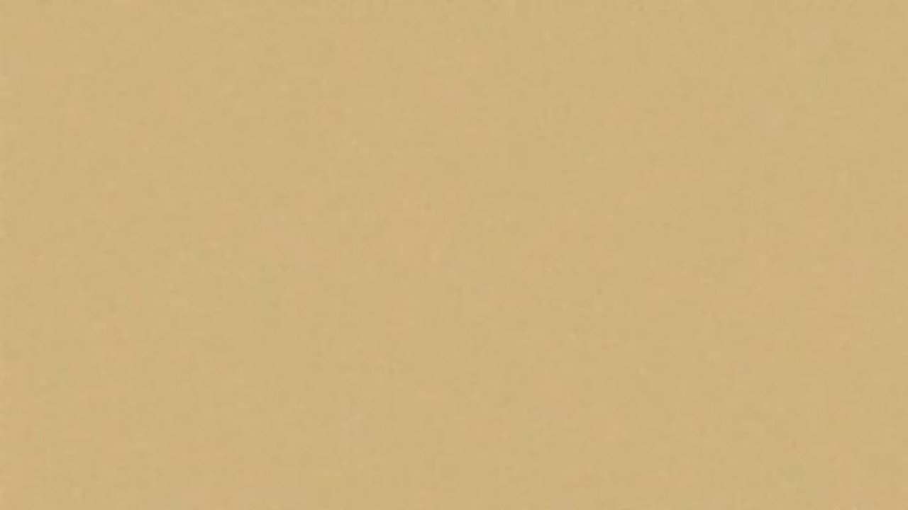 Backdrop for Bruno Dumont