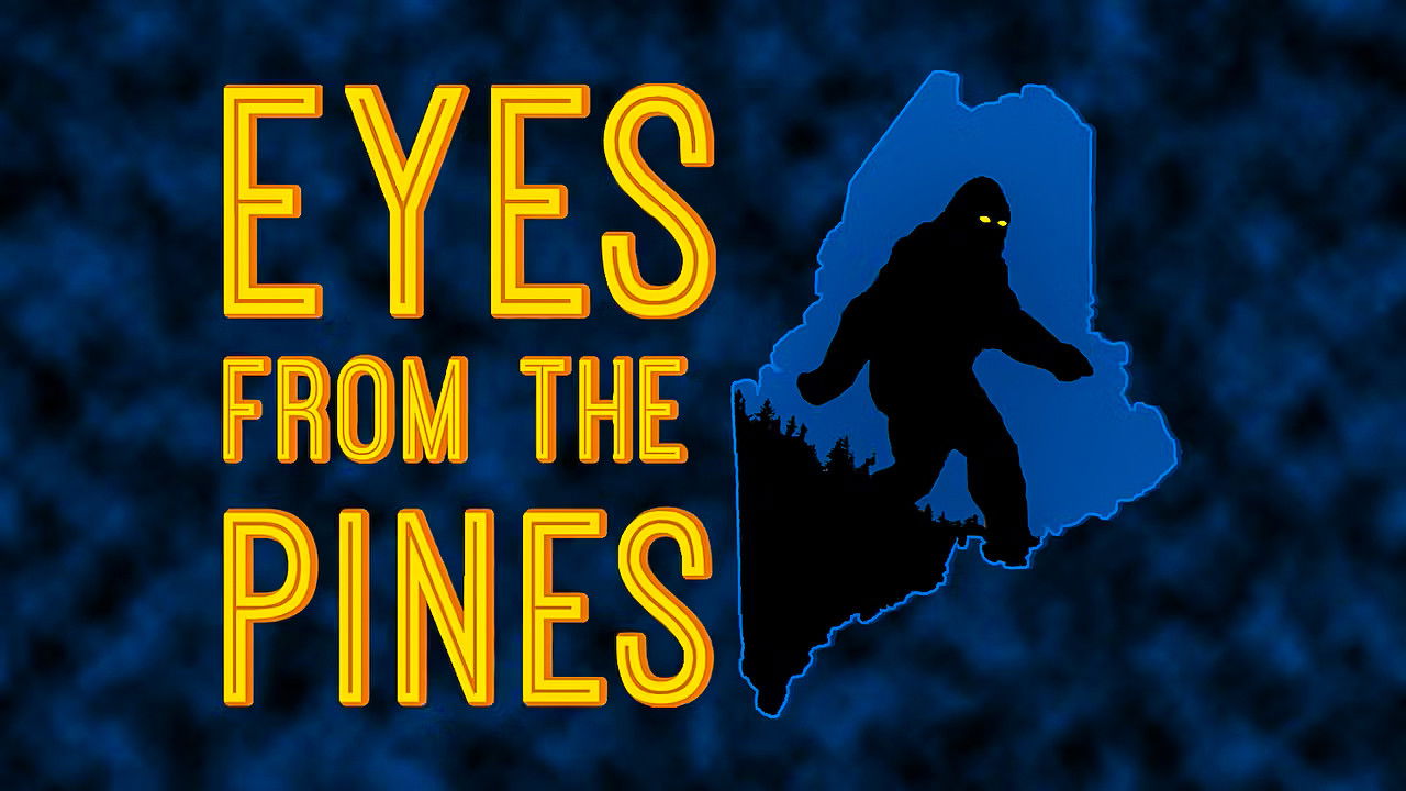 Backdrop for Eyes from the Pines