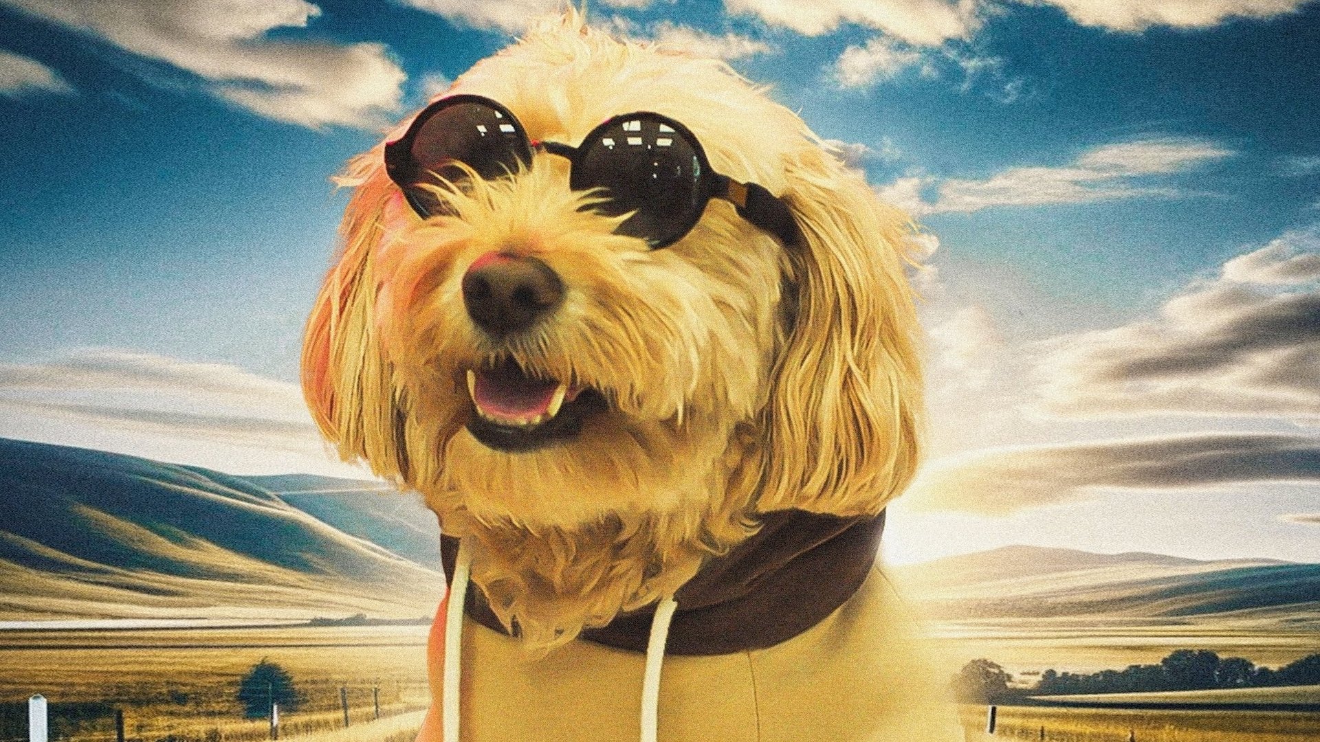 Backdrop for Dog Fugitive