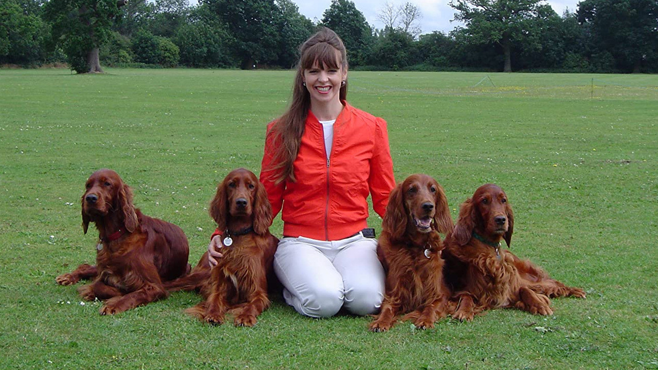 Backdrop for It's Me or the Dog