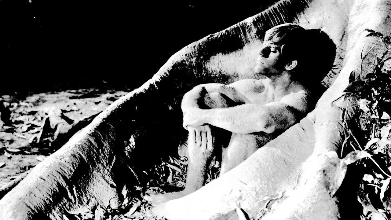 Backdrop for The Sin of Adam and Eve