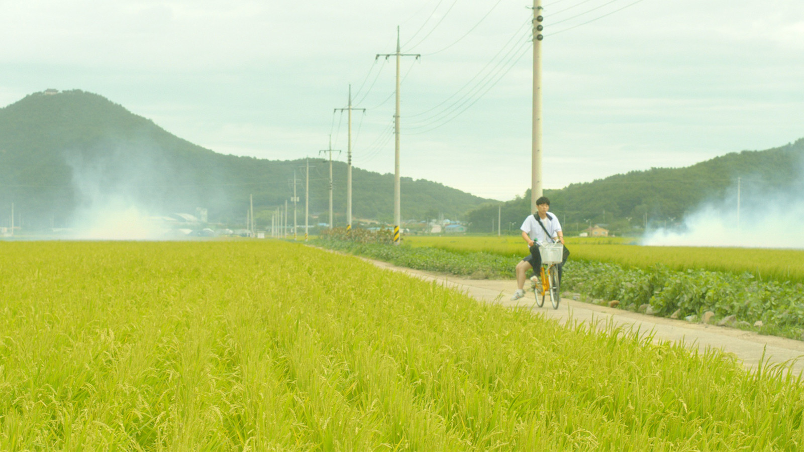 Backdrop for Knocking On The Door of Your Heart