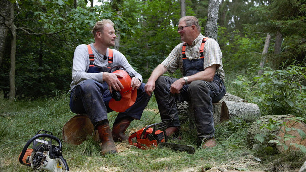 Backdrop for Alt det min far ikke har lært mig