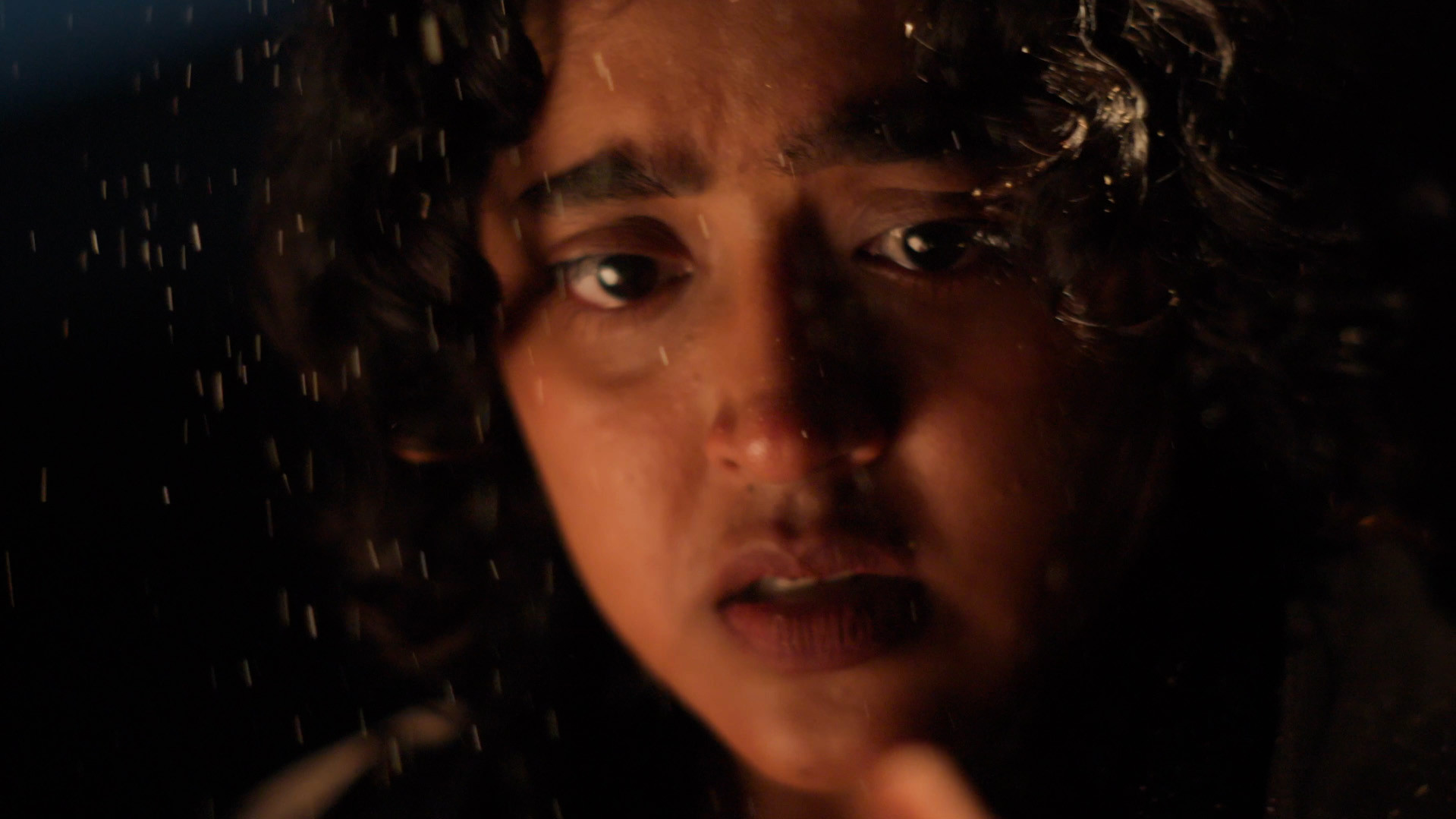 Backdrop for the flower she left me