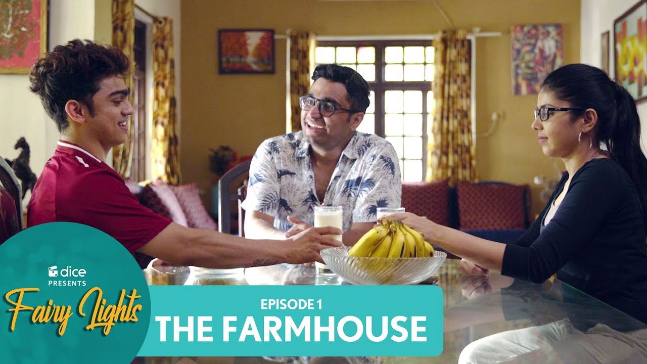 Backdrop for Fairy Lights