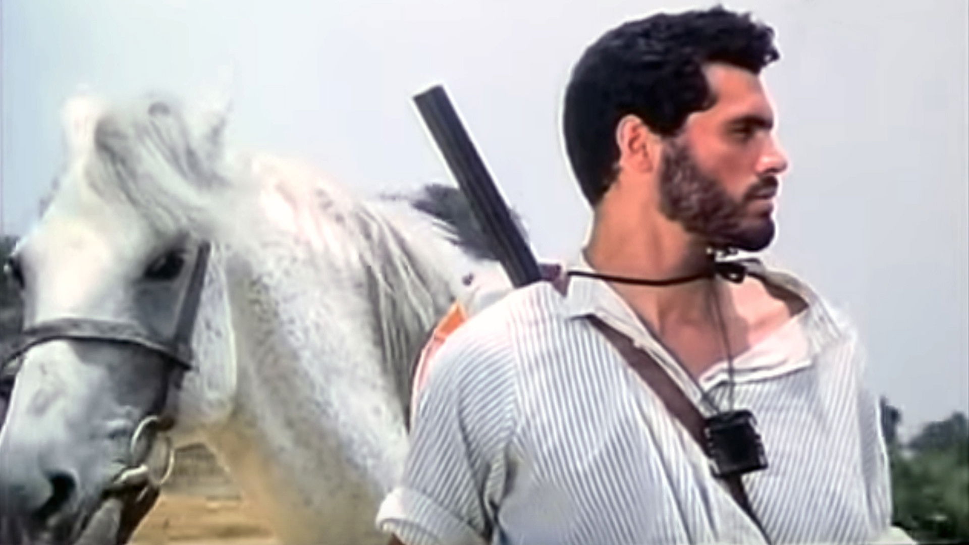 Backdrop for Gates of Silence