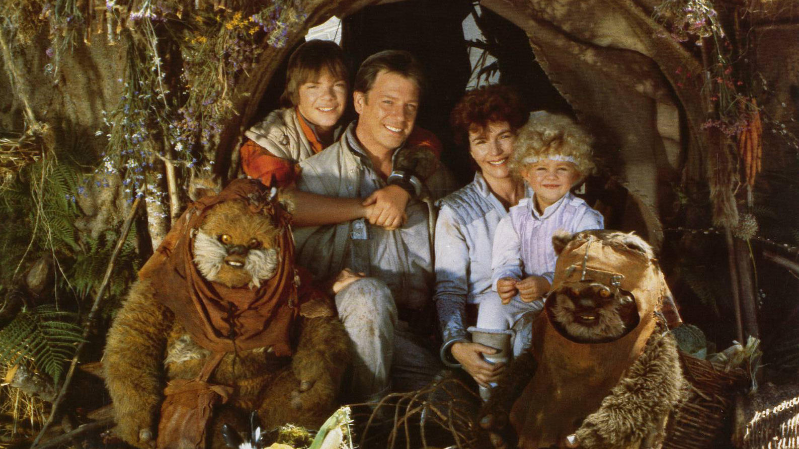 Backdrop for The Ewok Adventure