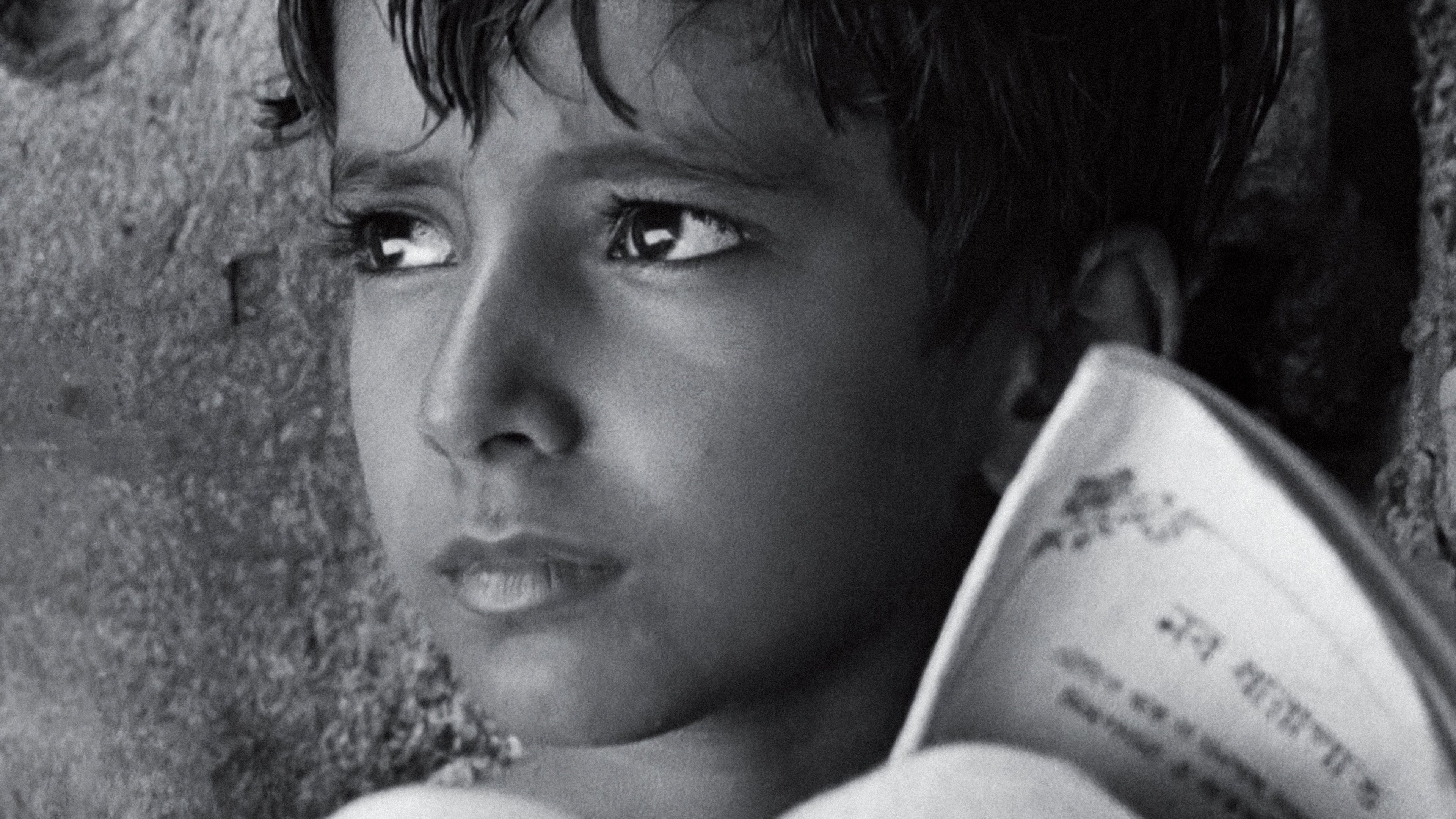 Backdrop for Pather Panchali
