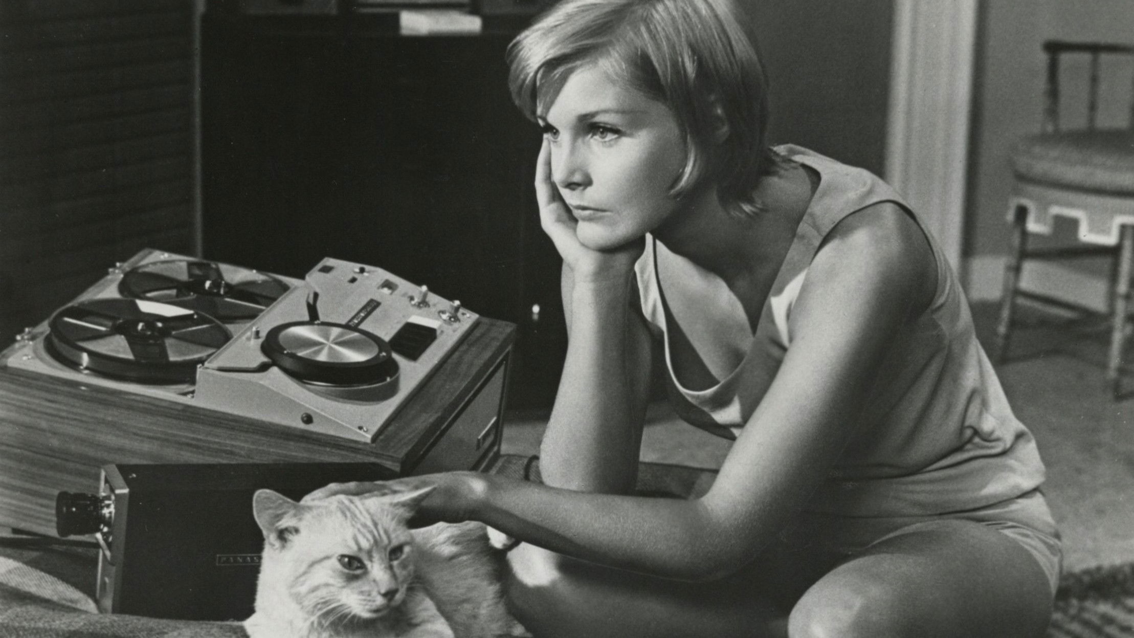 Backdrop for Once You Kiss a Stranger...