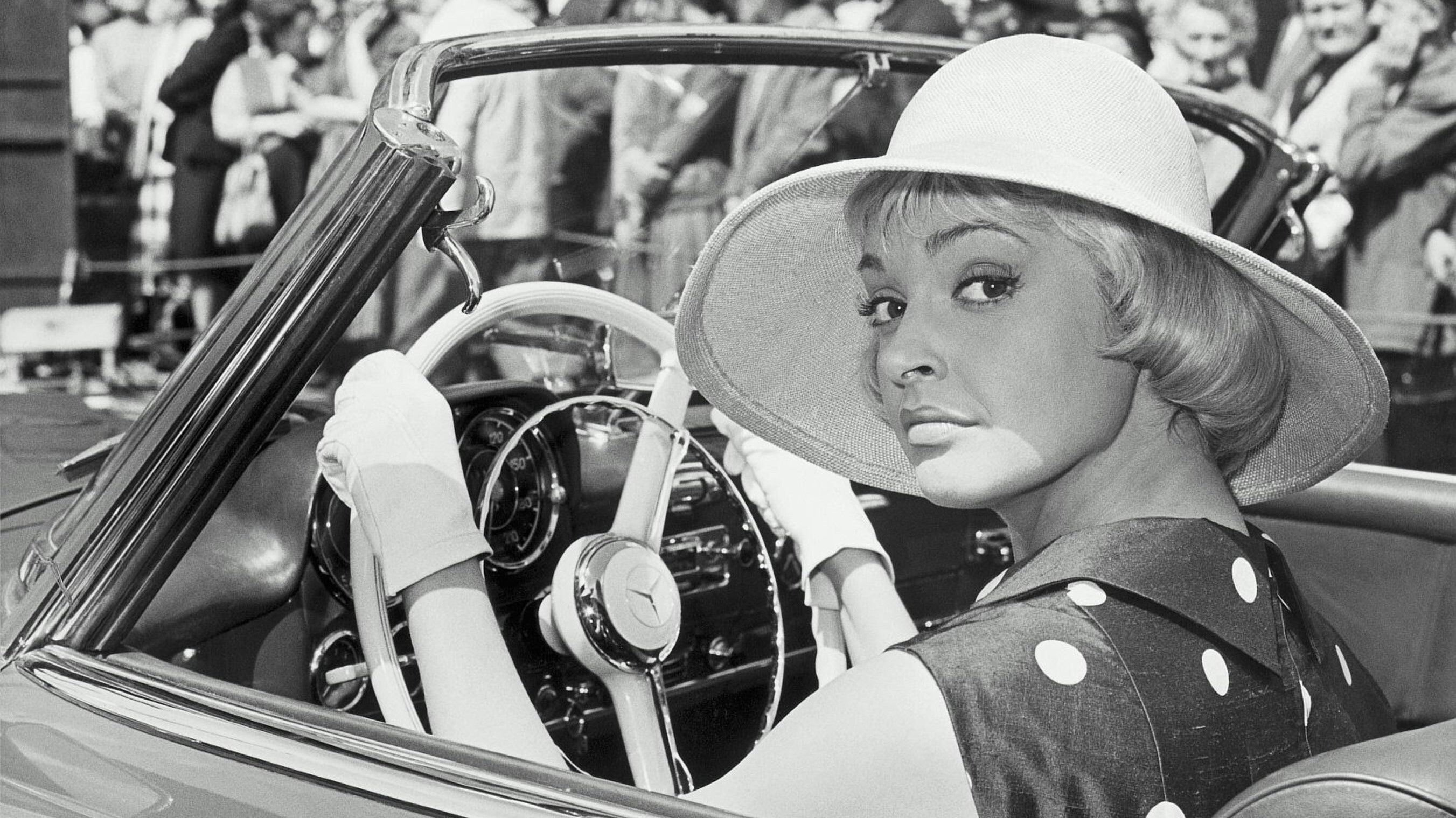 Backdrop for Rosemary