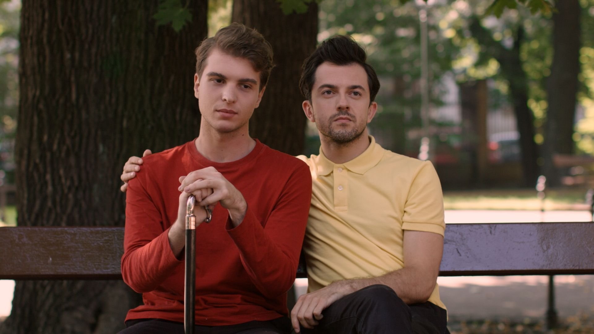 Backdrop for Red Yellow Pink