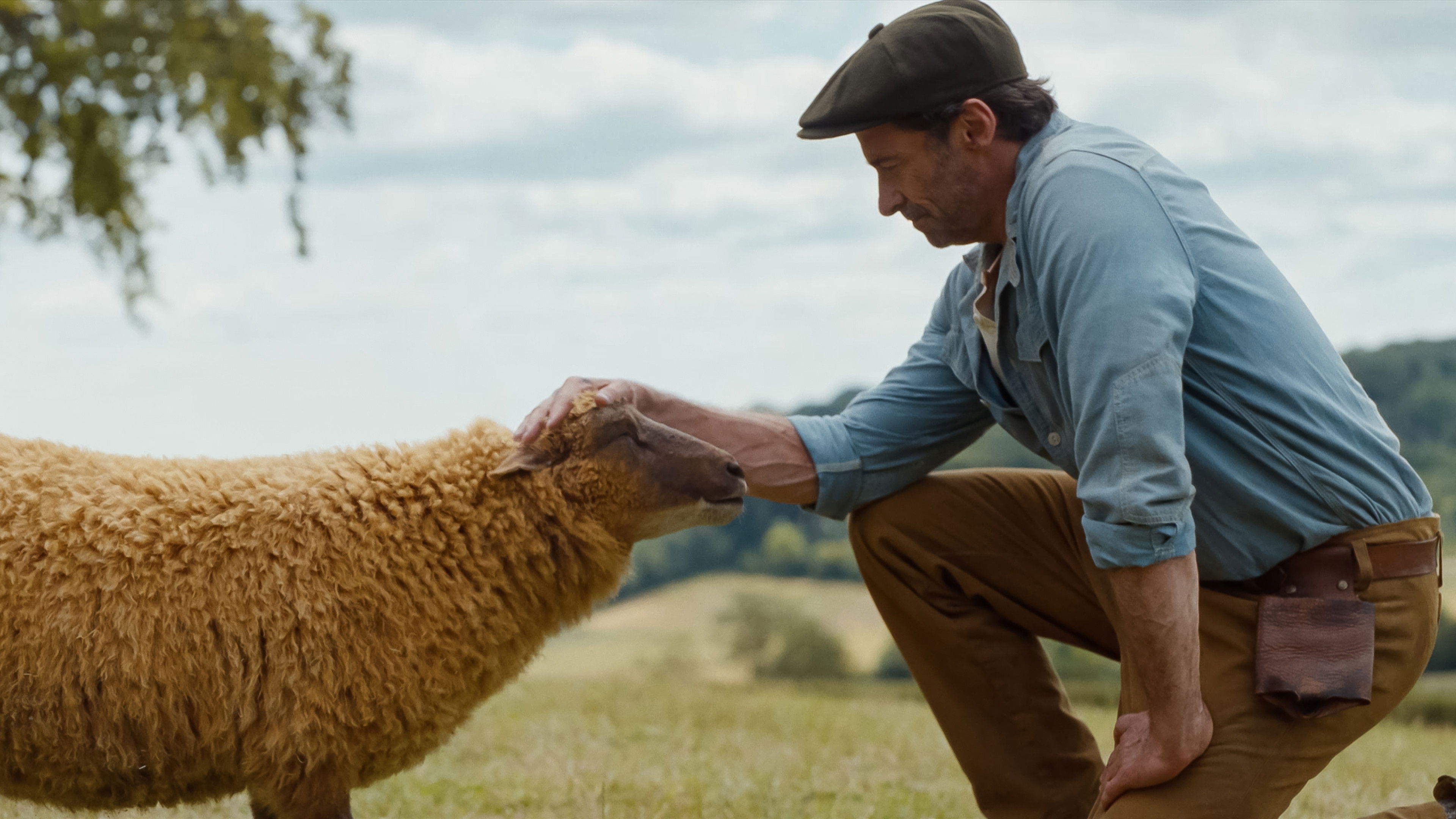 Backdrop for The Sheep Detectives
