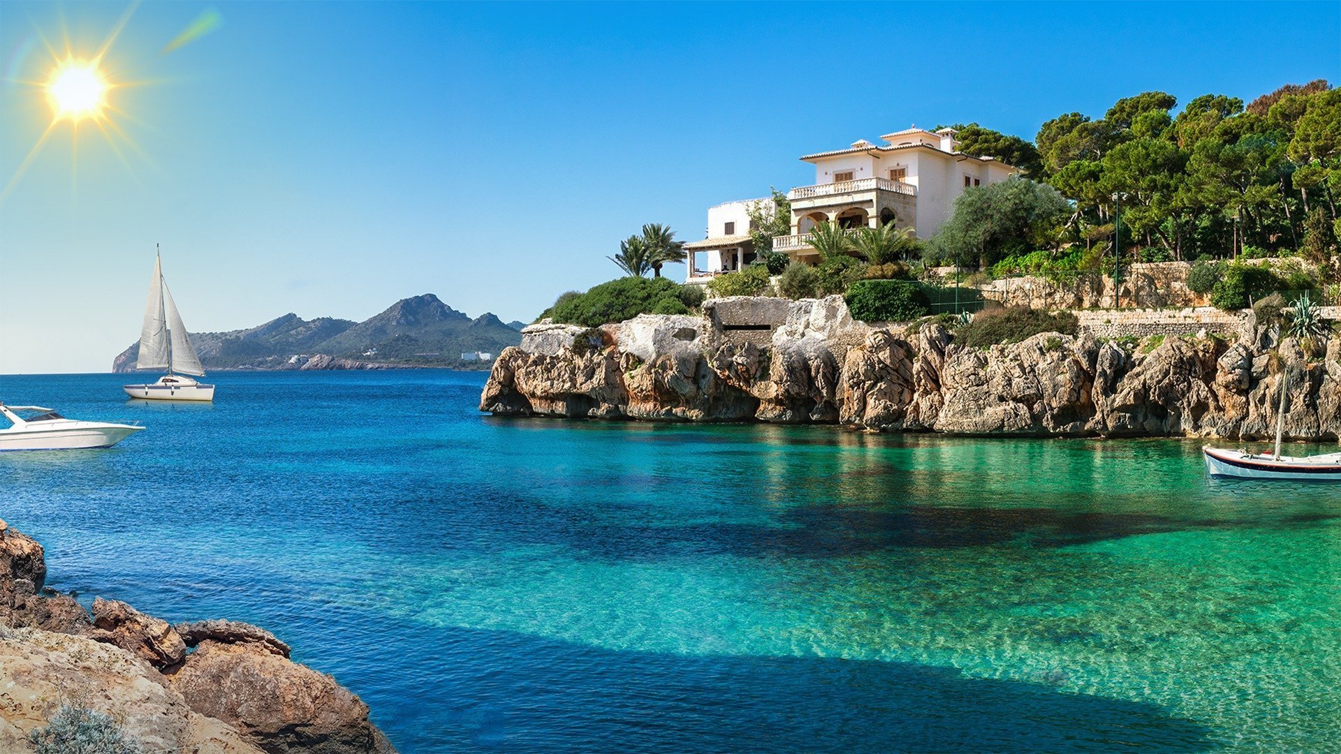 Backdrop for Mediterranean Life