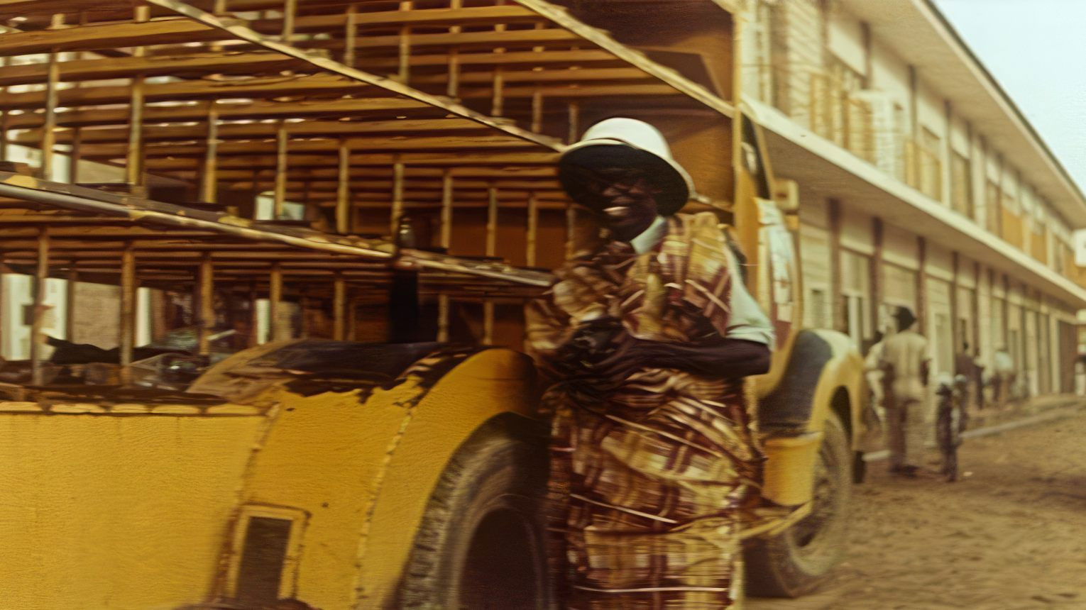 Backdrop for Gorilla