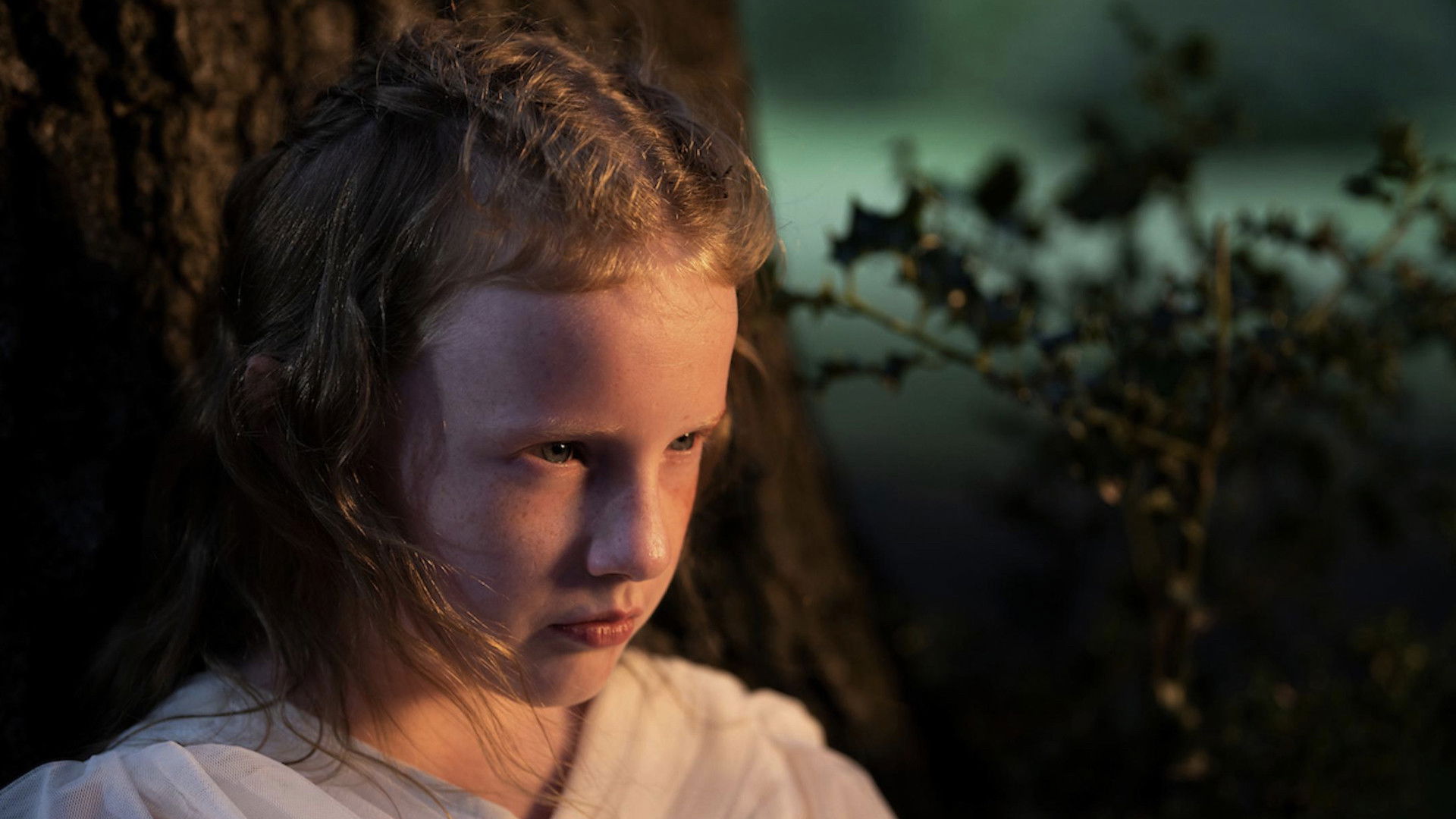 Backdrop for The She-E