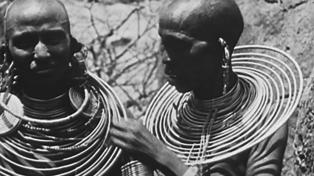 Backdrop for Africa Speaks!