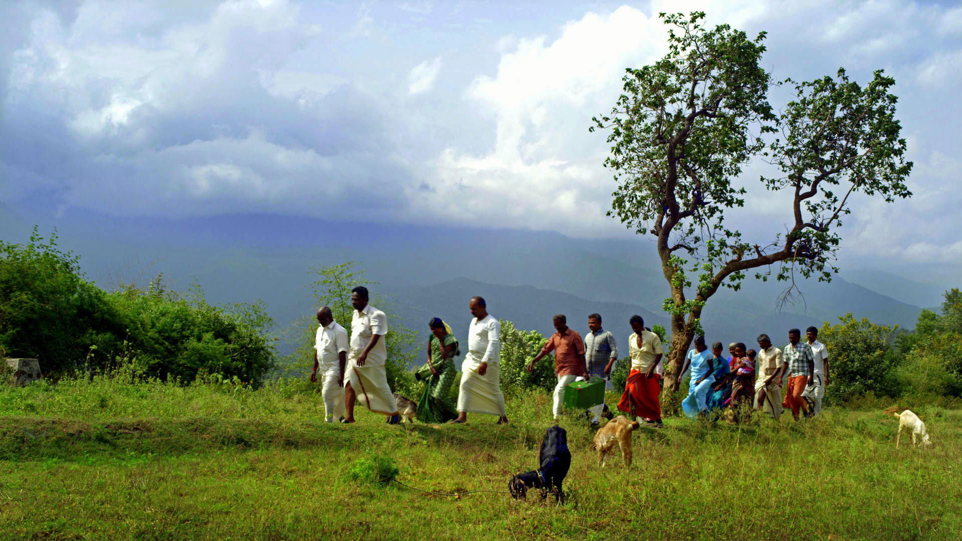 Backdrop for White Nights