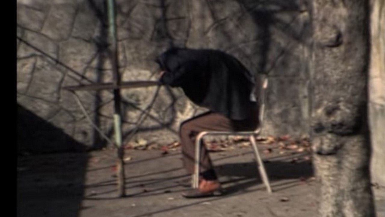 Backdrop for L'albero storpio