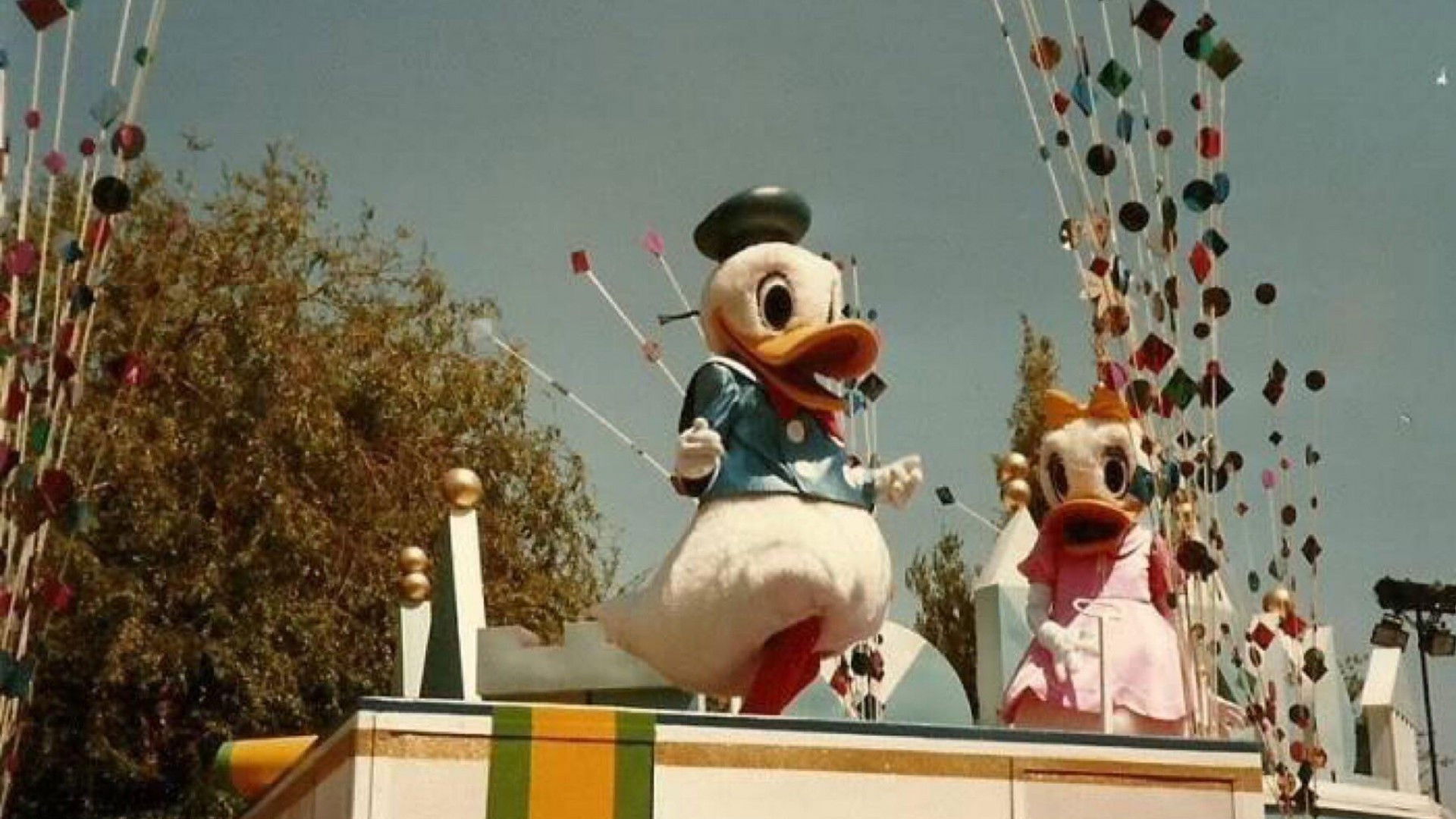 Backdrop for Donald Duck's 50th Birthday