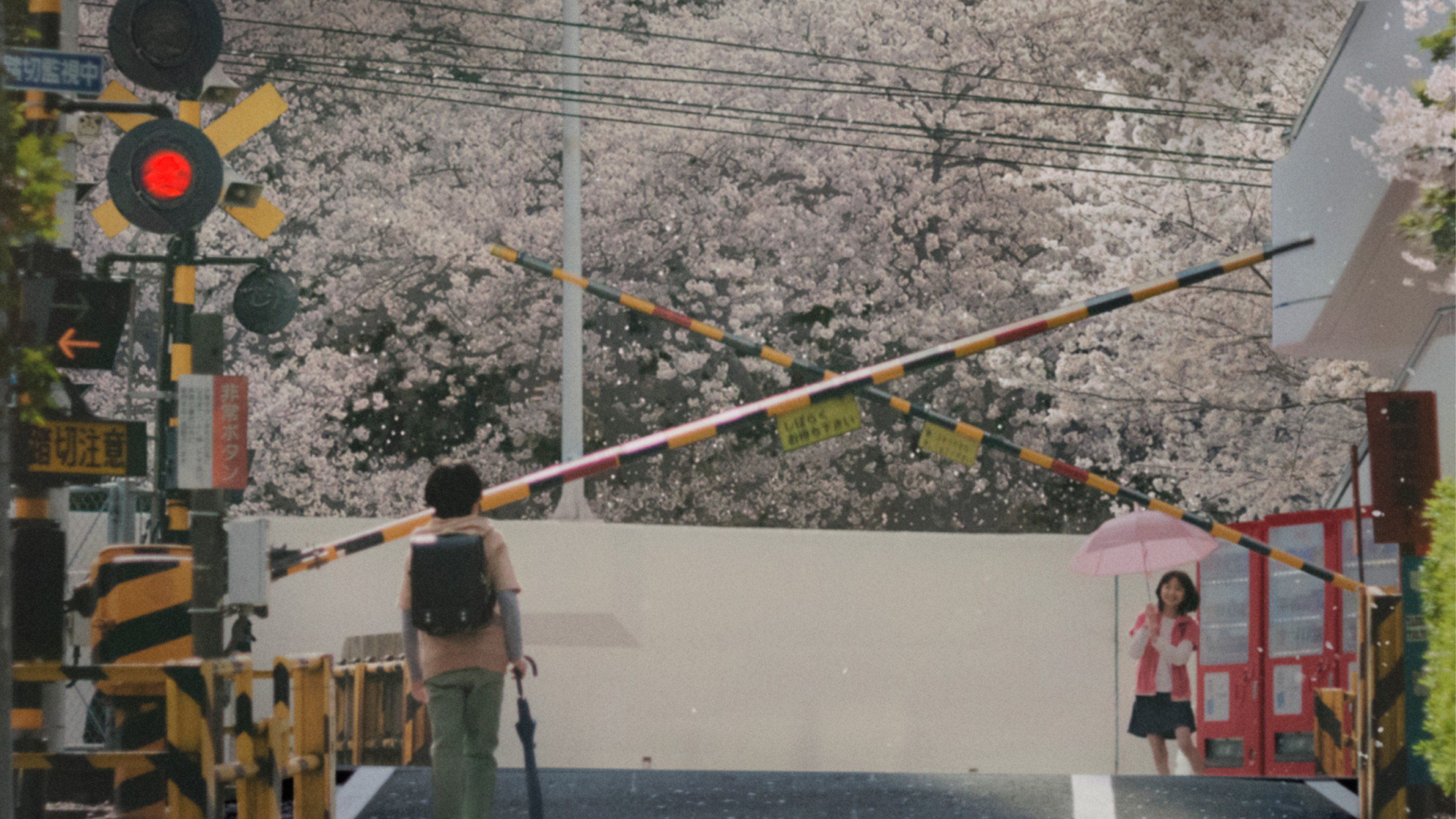 Backdrop for 5 Centimeters per Second