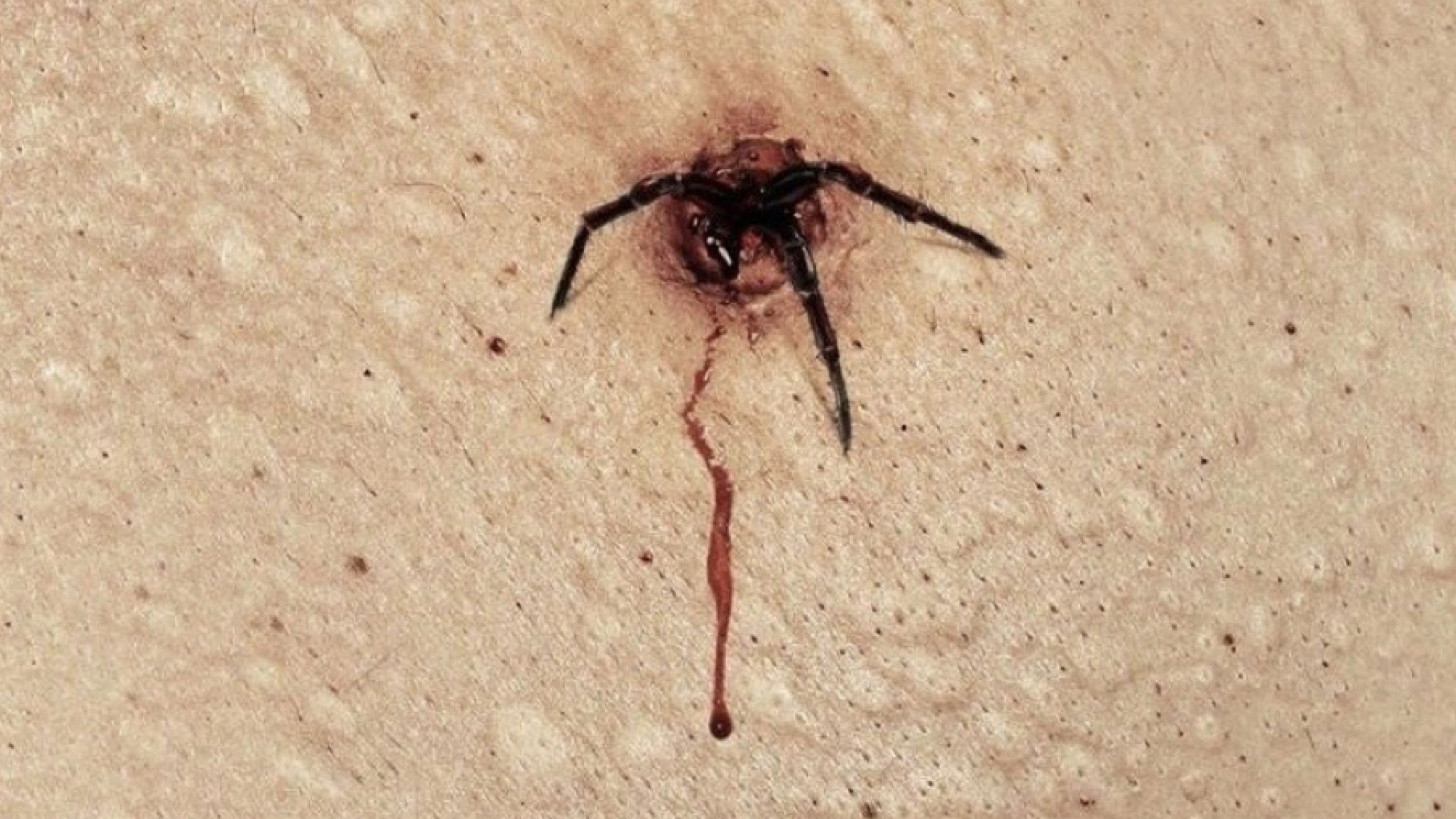 Backdrop for The Plague