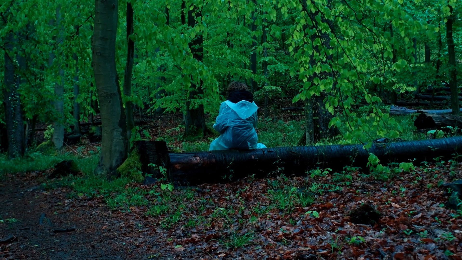 Backdrop for Pfaffendorf Forest