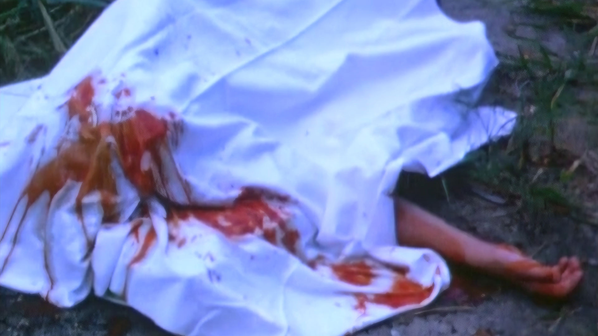 Backdrop for Weasels Rip My Flesh