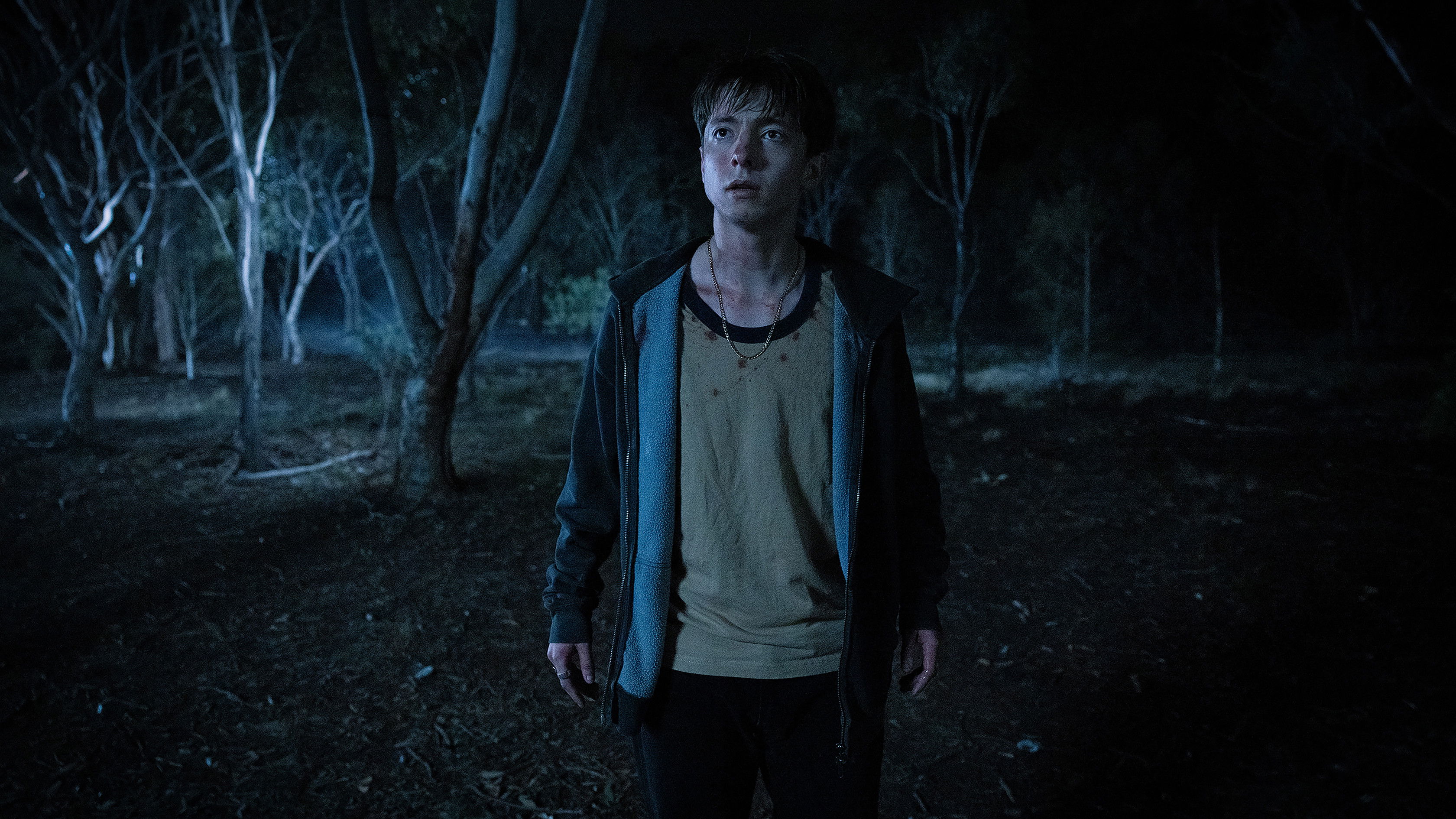 Backdrop for Leviticus