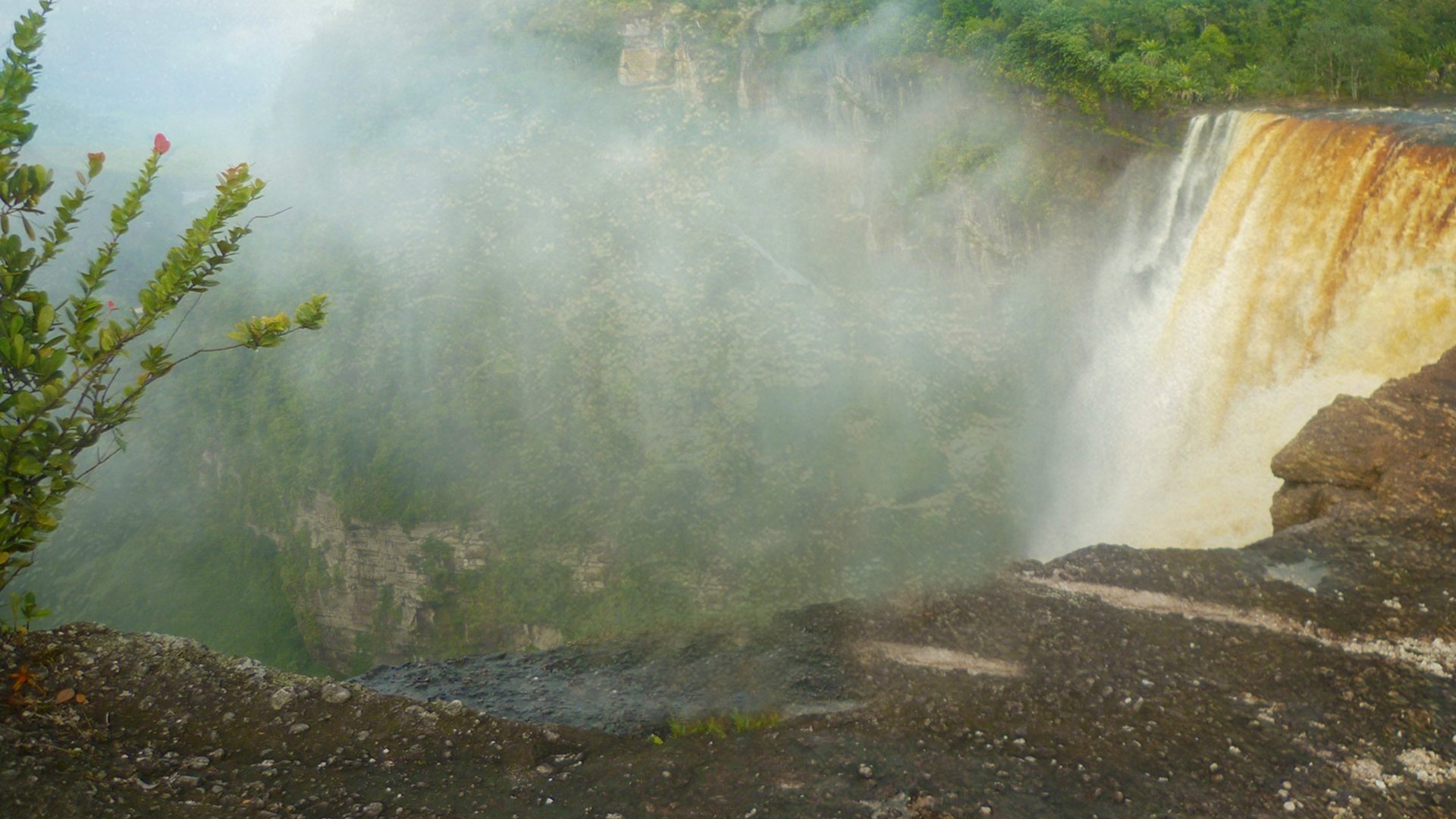 Backdrop for Gold Rush: South America