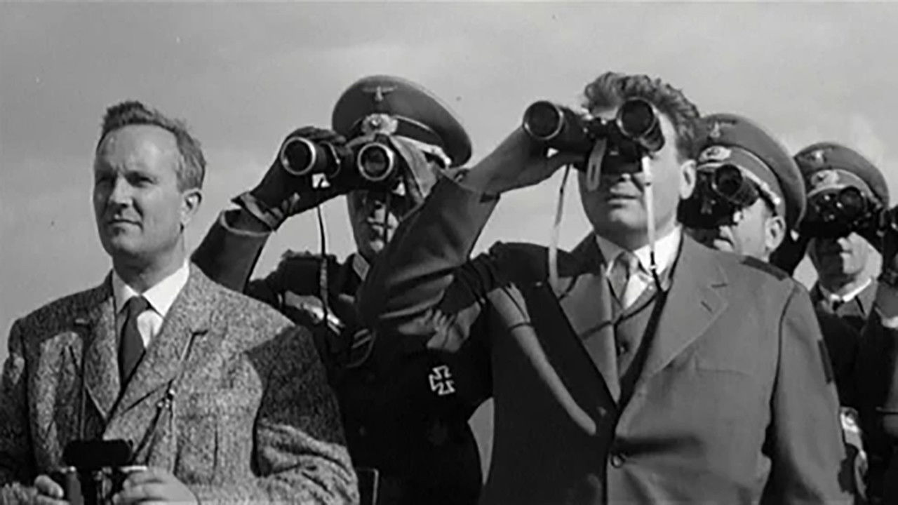 Backdrop for Frozen Flashes