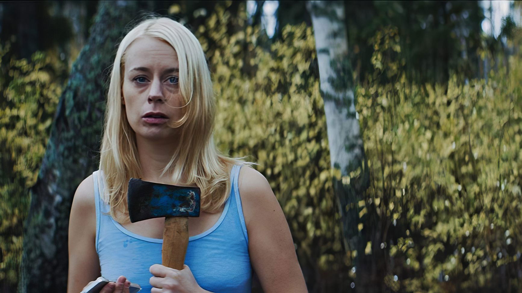 Backdrop for The House at the End of the Forest