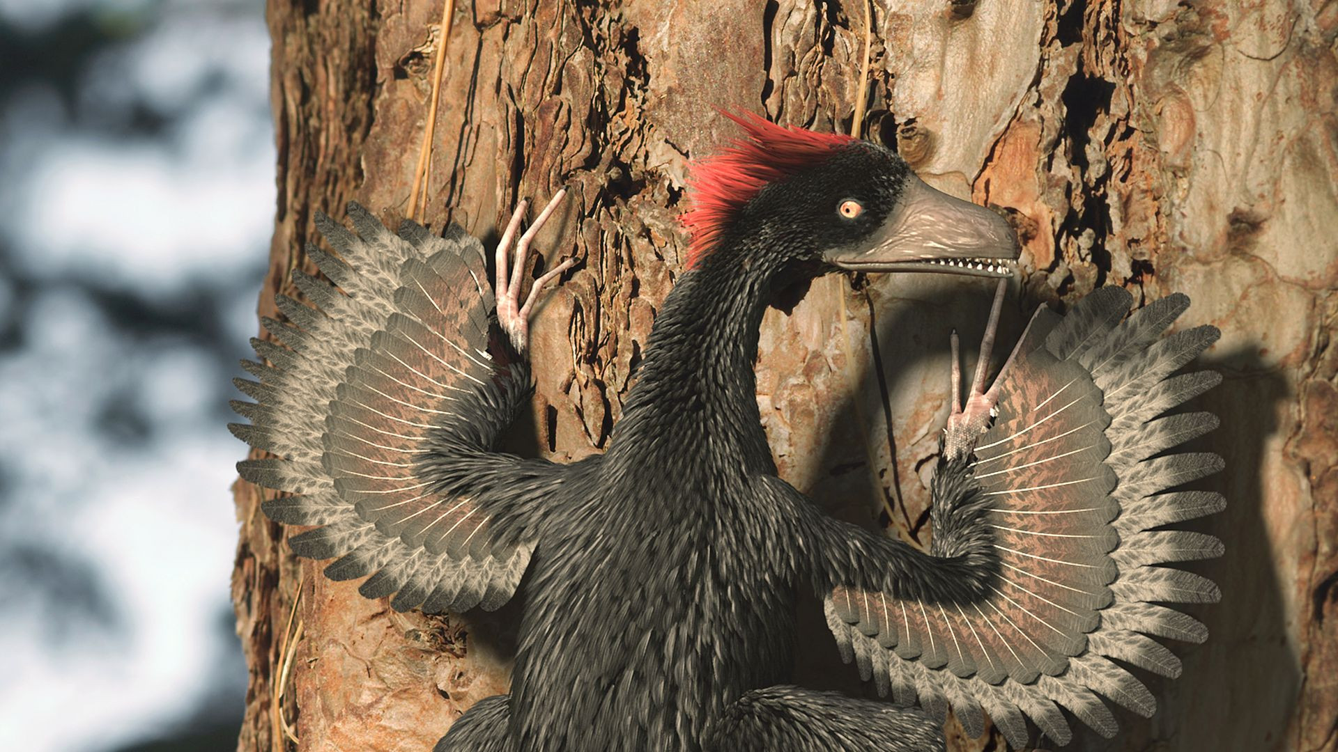 Backdrop for A New Prehistory