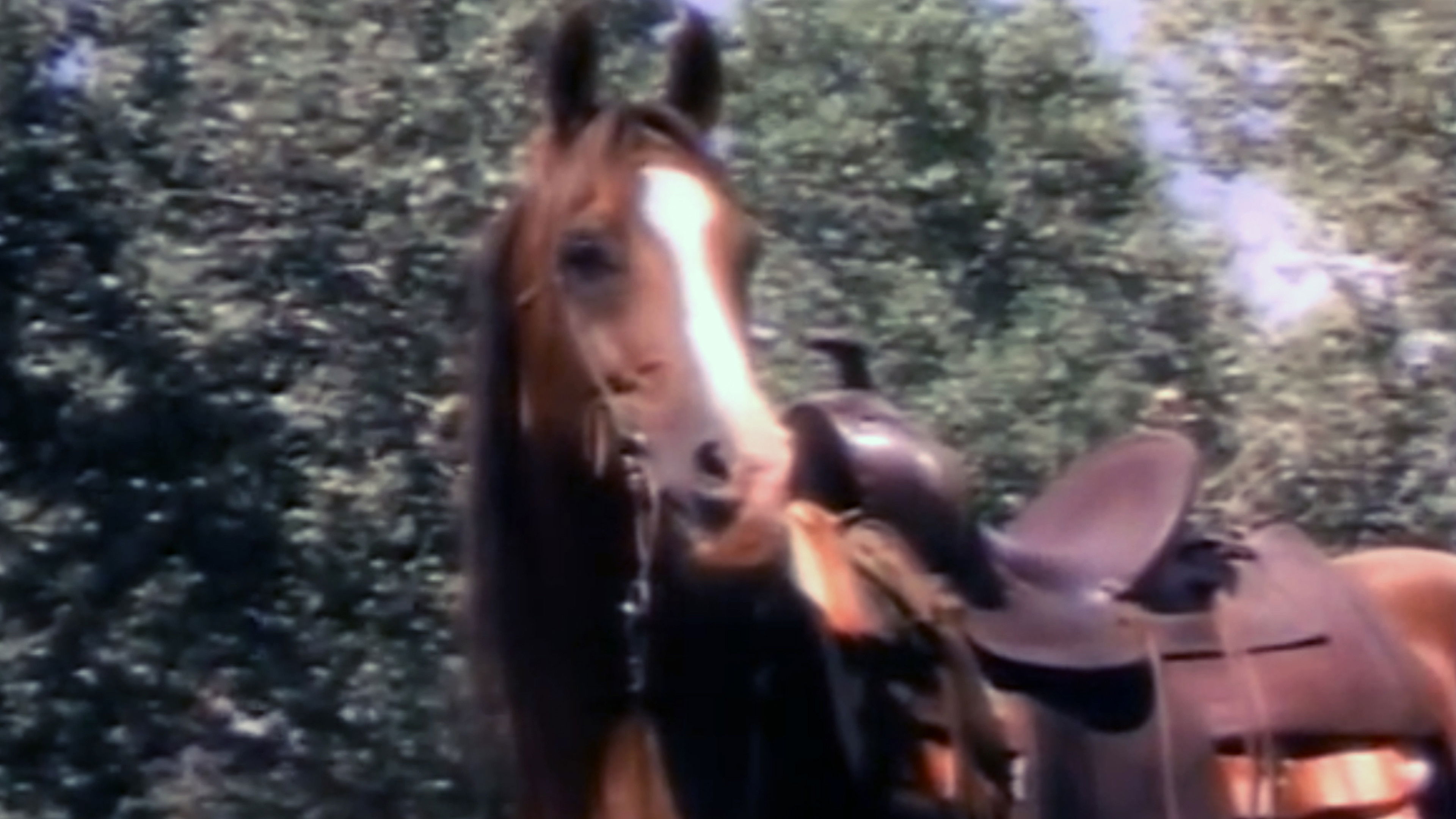 Backdrop for The Red Fury