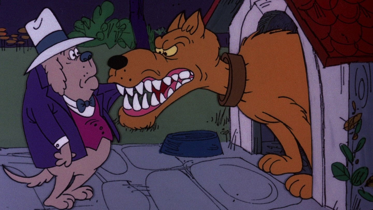 Backdrop for Rockhounds