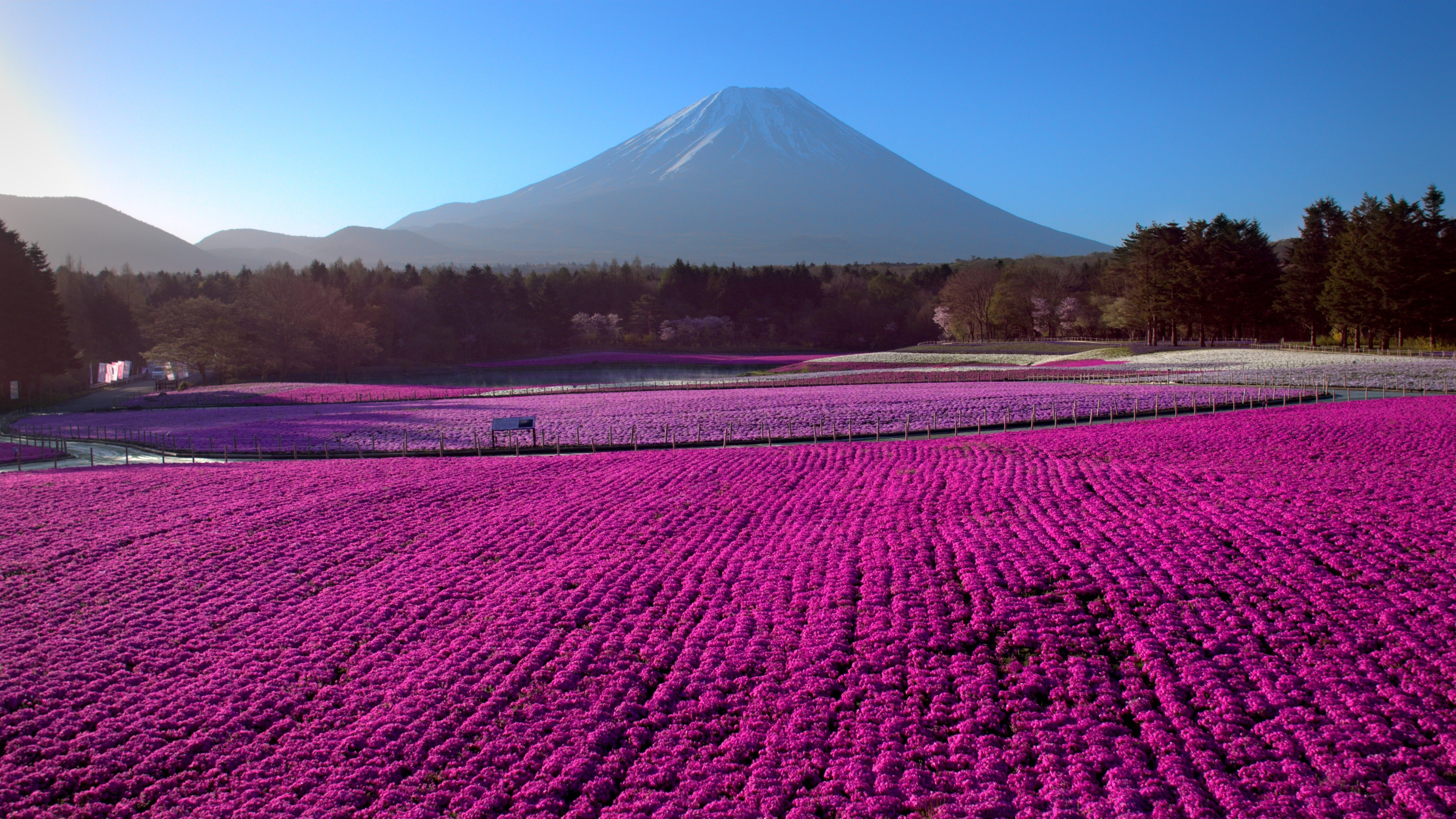 Backdrop for Japan from Above
