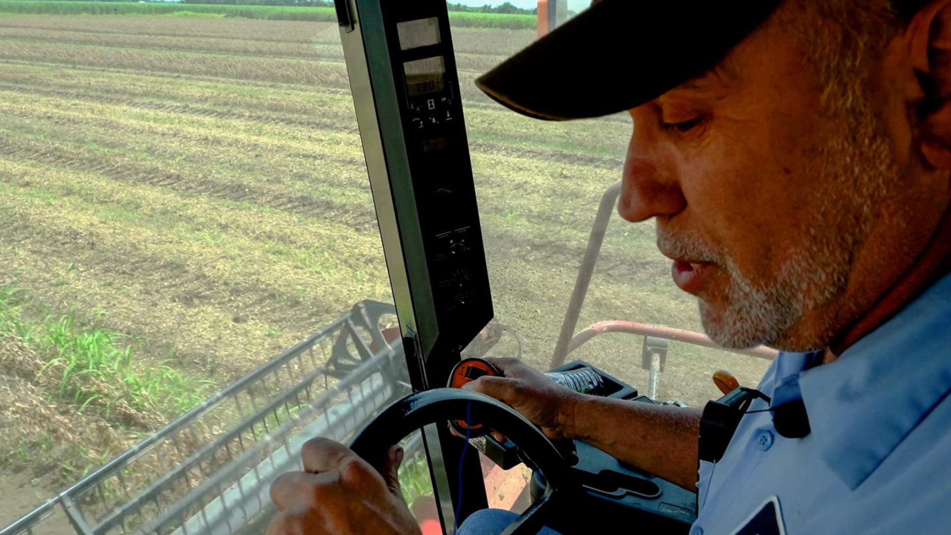 Backdrop for Sugar in Their Blood