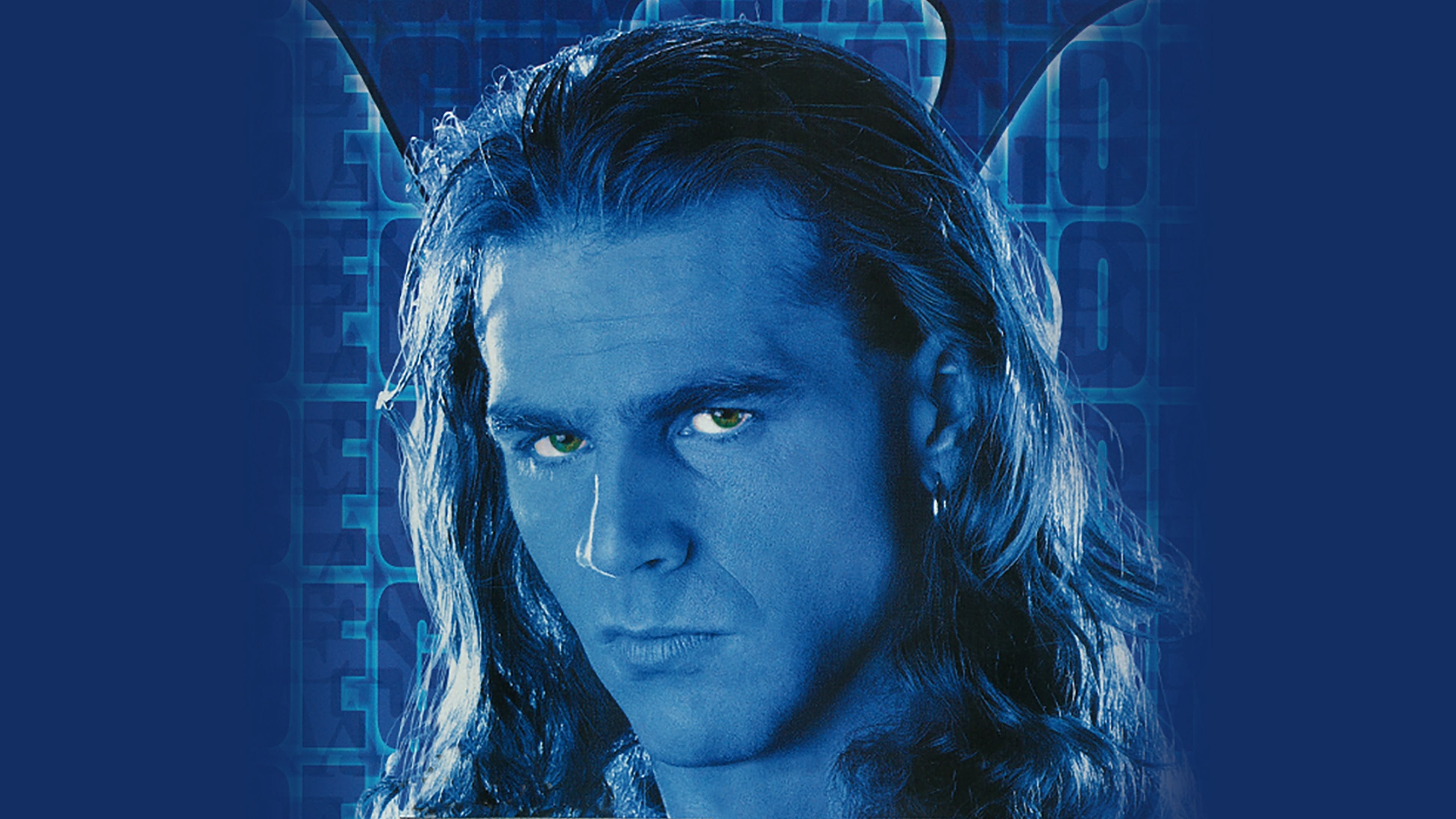 Backdrop for WWE D-Generation X: In Your House