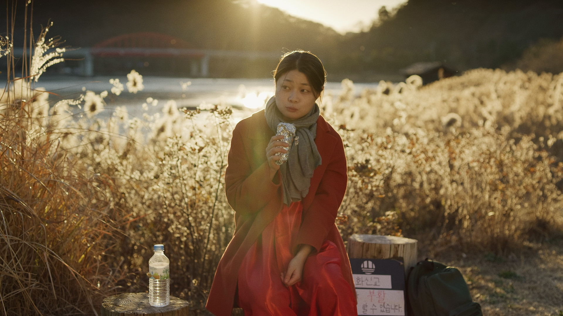 Backdrop for From the New World