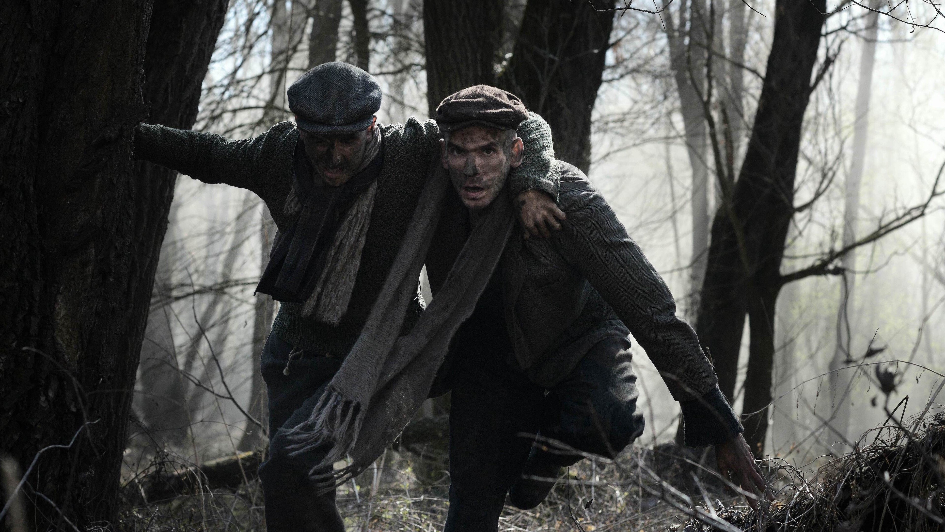 Backdrop for The Auschwitz Report